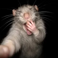 صورة أفاتار Atiiii59