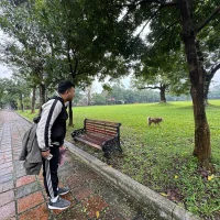 antu_nghienlon 头像  图片