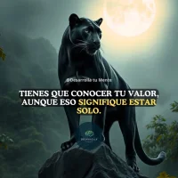 acero13 头像图片