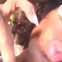 FahlkAna01 Poză avatar