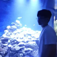 صورة أفاتار xboyvn9