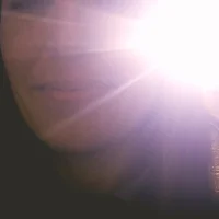 Rabbitintheboxのプロフィール写真