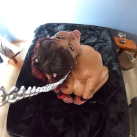 alexa_cruz__'s Avatar Pic