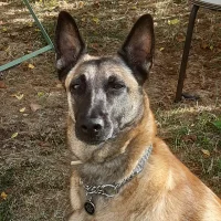 yoyo840n Avatar kuva