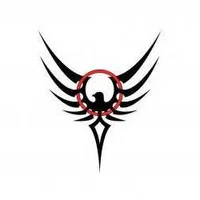 shyhawk's Profile Pic
