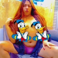TransBollat