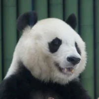 Foto del avatar de negishi_m215