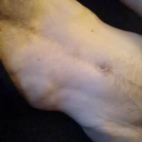 faayce's Profile Pic