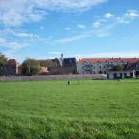 adultmale1962 Immagine Avatar