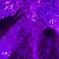 Tedy3_ – Avatar fotka