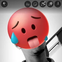 catdopix's Profile Pic