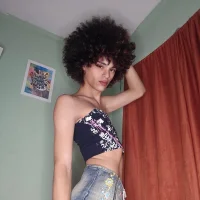 bigtrans's Profile Pic