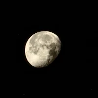 -_MOON_-'s Avatar Pic