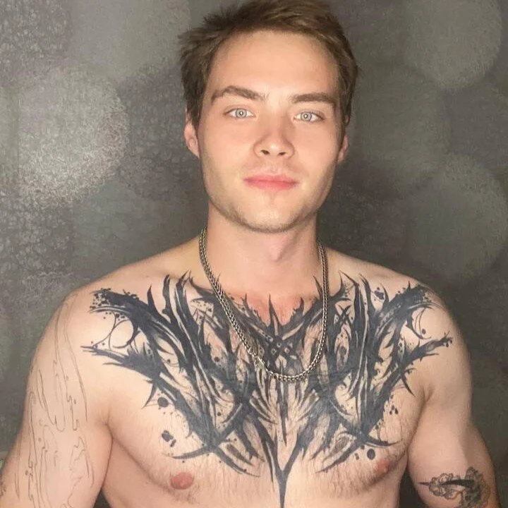 ErnestTarlet Stripchat profile image