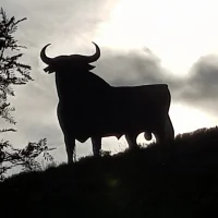 Fukboy17072003's Avatar Pic