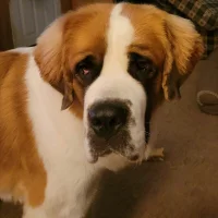 ShawnFree68 অবতার ছবি