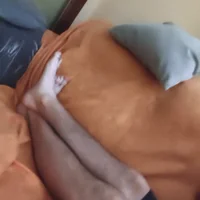 soyyoelque4