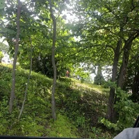 รูปโปรไฟล์ของ Vultnamo