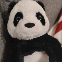 kittyhunter05 Poză avatar