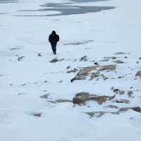 amordemivida-03 Avatarbild