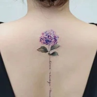 SinOfEnvy's Profile Pic