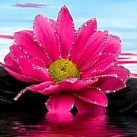 Sardarjee409 profile photo