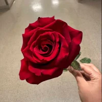 marrbarbie's Profile Pic