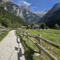 giovanehot