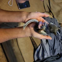 Thesmokingcouples Profilfoto