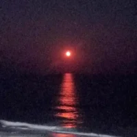 daybyday25's Avatar Pic