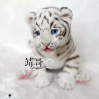 sai6954 头像图片