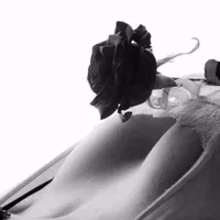 รูปโปรไฟล์ของ SweetAnais