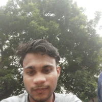 royalansh11s profilbillede