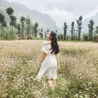 Cici_beo's Profile Pic