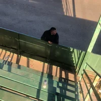 AgroundRug's Profile Pic