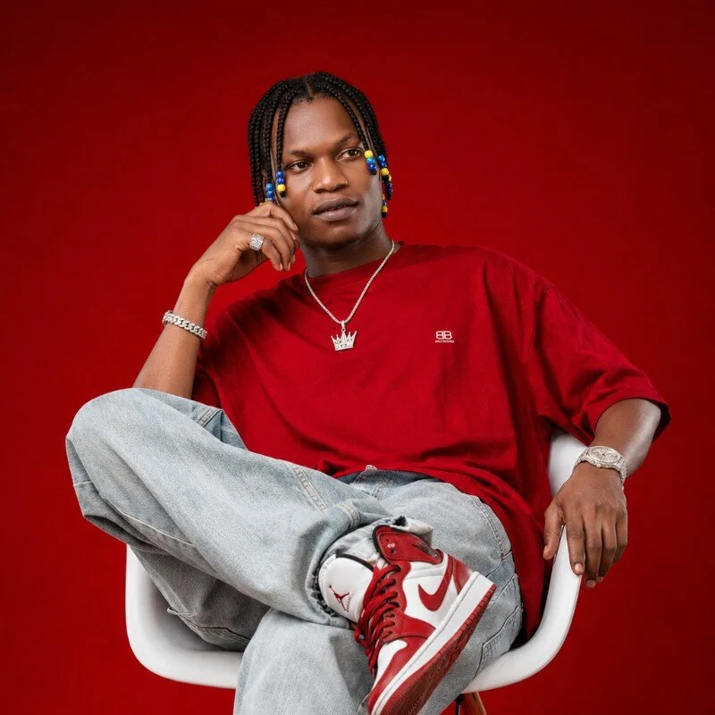 Embu_starling profile photo