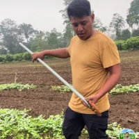 Milo_73's Profile Pic