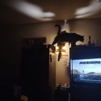 รูปอวาตาร์ของ Thomaswales