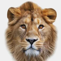 Suisse2613's Avatar Pic