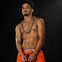 DrakeFoxx Immagine Avatar