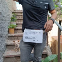 Gambar Profil Morrohot13