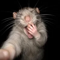 Atiiii59's Avatar Pic