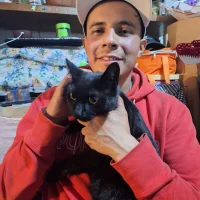 Arcangel_1991s profilbillede