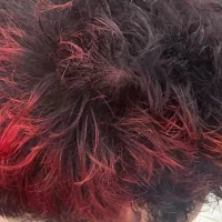 Woadies4's Profile Pic