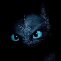 KNIGHT--FURY's Avatar Pic