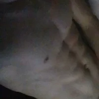 gymcoouples profilbillede