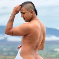 Milan_Velvet