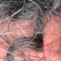 sunrise-40's Profile Pic