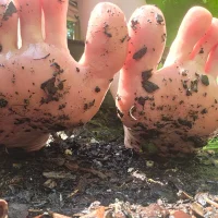 naturewalks's Profile Pic