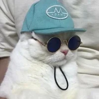 sunboy4444's Profile Pic